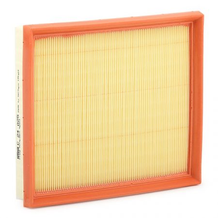 Filtro Mann C24025