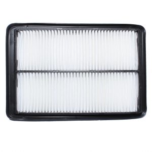 Filtro Aire Qashqai C25040 STP